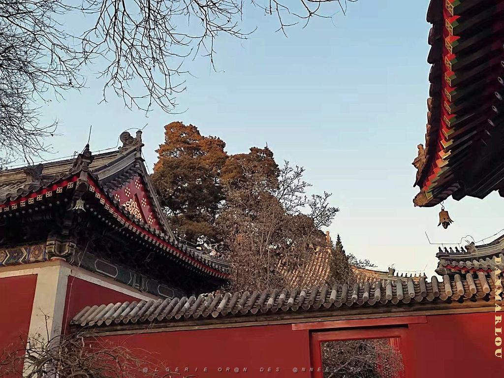 2023 02 05  PEKIN - WANSHOU TEMPLE LONGEVITE BIENVEILLANCE (18).jpg
